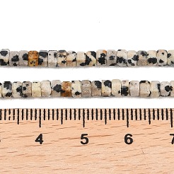 Природные яшмы далматин бисер нитей&nbsp;G-G345-C14-2x4mm