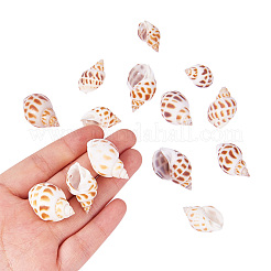 Спиральные подвески оболочки&nbsp;SSHEL-PH0001-03