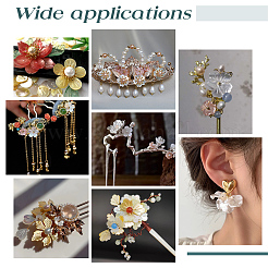 16 шт. 2 стиля натуральных черных подвесок-ракушек для губ&nbsp;SSHEL-GA0001-09