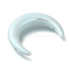 Твердые шарики цвета акриловые&nbsp;SACR-R002-01A