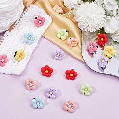 24 шт. 8-х цветные украшения для обуви из смолы&nbsp;DIY-CP0010-15