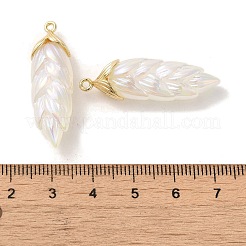 Подвески из смолы с радужным переливающимся покрытием&nbsp;LS-RESI-C047-03B-G