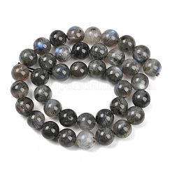 Природные лабрадорита бисер нитей&nbsp;G-Z133-A01-10mm-01