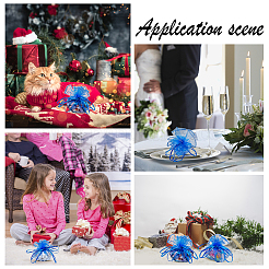 Сумочки из органзы&nbsp;OP-NB0001-12B