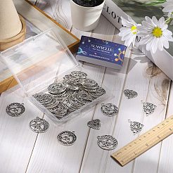 Подвески из сплава в тибетском стиле&nbsp;FIND-SC0005-14