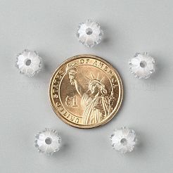 Прозрачные акриловые бусины&nbsp;X-TACR-S089-10mm-01