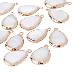 Природные подвески оболочки пресноводных&nbsp;SHEL-BC0001-001