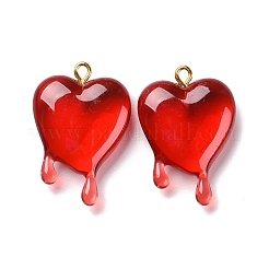 Прозрачные смоляные подвески&nbsp;LS-RESI-F028-01