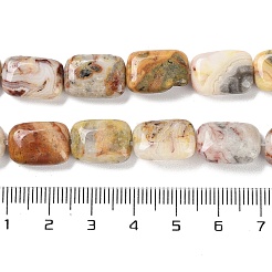 Натуральные сумасшедшие кружевные агатовые бусины&nbsp;G-K357-D08-01