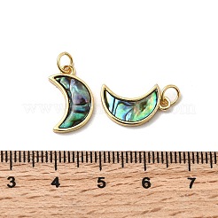 Подвески в форме луны из эпоксидной смолы и натуральной ракушки пауа&nbsp;KK-K384-10G