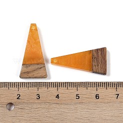 Подвески из смолы и дерева&nbsp;WOOD-F015-03B