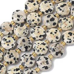 Природные яшмы далматин бисер нитей&nbsp;G-C116-A187-01