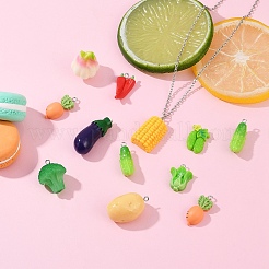 30шт 10 стиля подвески из смолы&nbsp;RESI-YW0004-20