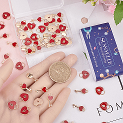 60шт 2 стиля подвески из сплава с эмалью&nbsp;ENAM-SC0005-25