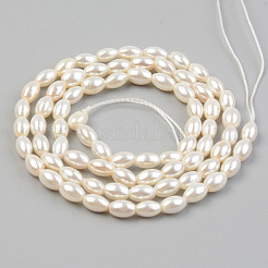 Гальваническое покрытие нитей бусин из натуральных пресноводных раковин&nbsp;SHEL-T017-13A-01