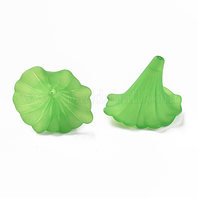 Прозрачные акриловые бусины&nbsp;X-BSF796-C07-1