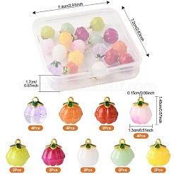 24шт 9 цвета стеклянные подвески&nbsp;GLAA-FS0002-42