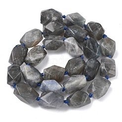 Природные лабрадорита бисер нитей&nbsp;G-C270-F01