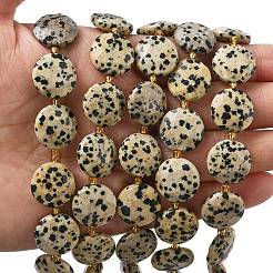 Природные яшмы далматин бисер нитей&nbsp;G-A292-A06-01