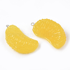 Подвески из смолы&nbsp;X-RESI-T028-25B