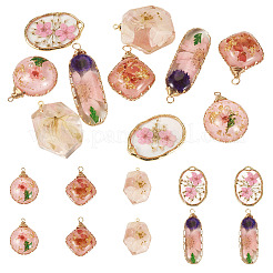 10шт 5 стиля подвески из эпоксидной смолы&nbsp;FIND-TA0008-91