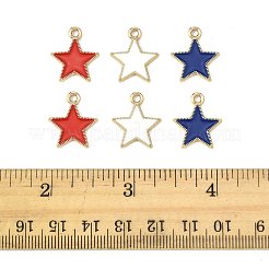 20шт 3 цвета сплава эмалевые подвески&nbsp;ENAM-FS0003-53