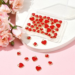 48шт 3 стиля сплава эмалевые подвески&nbsp;ENAM-FS0002-42