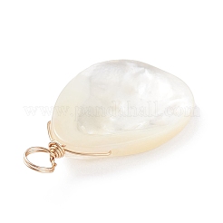Натуральная ракушка трохида / подвески из ракушки трохуса&nbsp;X-PALLOY-JF01393