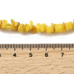 Бусины из натуральных пресноводных ракушек&nbsp;SHEL-B003-01A