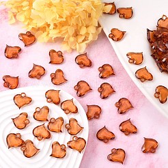 Прозрачные акриловые подвески&nbsp;PL762Y-14