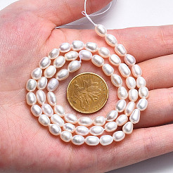 Нити из натурального культивированного пресноводного жемчуга&nbsp;LS-PEAR-N012-04C