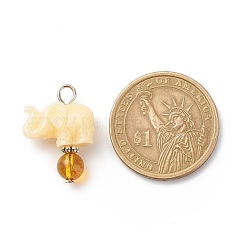 Подвески из непрозрачной смолы и натуральных смешанных камней&nbsp;PALLOY-JF01765-02