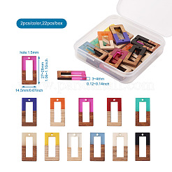 22шт 11 цвета подвески из смолы и ореха&nbsp;RESI-BT0001-10