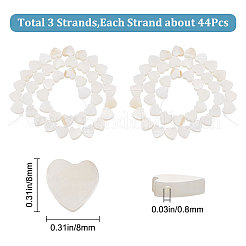 3 нить бусин из натуральных пресноводных ракушек&nbsp;SHEL-CN0001-01