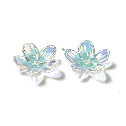 Прозрачные колпачки акриловая бисера&nbsp;X-OACR-H016-02