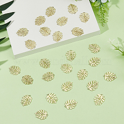 50 шт. подвески из сплава&nbsp;ENAM-DC0001-78