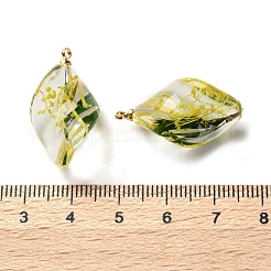 Подвески из прозрачной смолы с сухоцветами&nbsp;LS-RESI-A043-02C