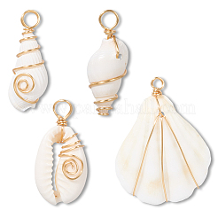 24 шт. подвески из натуральных ракушек в 4 стилях&nbsp;FIND-SC0015-67