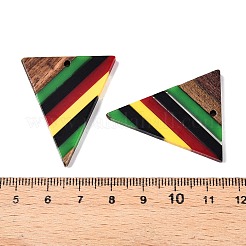 Подвески из ямайской цветной эпоксидной смолы и орехового дерева&nbsp;RESI-N039-122T