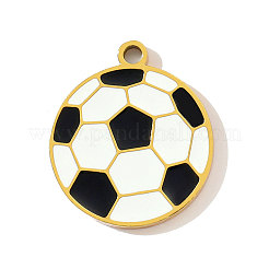 Подвески из нержавеющей стали 304 с эмалью&nbsp;STAS-OY003-18G