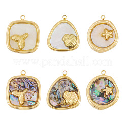 6 шт. 6 стиля подвески из нержавеющей стали 304 с натуральными ракушками&nbsp;STAS-TA0005-42