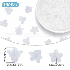 100 шт. Прозрачные акриловые бусины&nbsp;SACR-SP0001-43