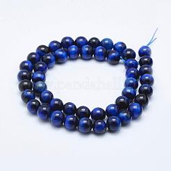 Природных тигровый глаз бисер нитей&nbsp;G-K203-86-8mm