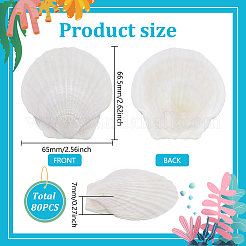 80 шт. украшения из натуральных ракушек&nbsp;DIY-WA0001-03