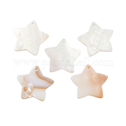 Звездочный пресноводных оболочки подвески&nbsp;SHEL-M005-22-1