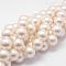 Shell Pearl Bead Strands, Grade A, Round, Floral White, 16mm, Hole: 1mm, about 26pcs/strand, 16 inch