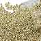TOHO Round Seed Beads, Japanese Seed Beads, (PF559) PermaFinish Yellow Gold Metallic, 11/0, 2.2mm, Hole: 0.8mm, about 777pcs/7g