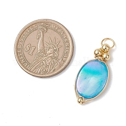 9шт 3 цвета окрашенные подвески из натуральных ракушек&nbsp;PALLOY-JF04838