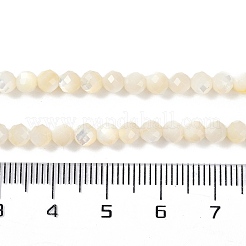 Нити бусин из натуральной белой ракушки&nbsp;SSHEL-E571-38A-4mm