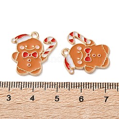 Подвески из эмали и сплава&nbsp;ENAM-I061-01KCG-11